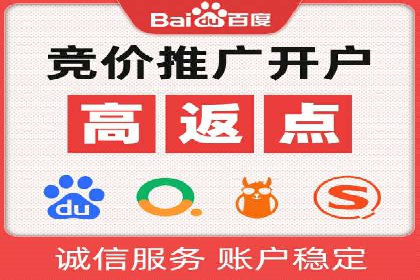 SEM服务案例：助力企业拓展海外市场